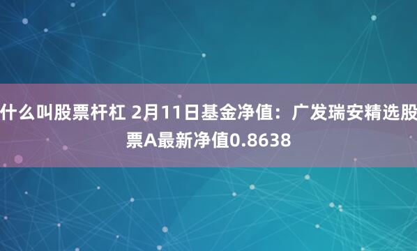 什么叫股票杆杠 2月11日基金净值：广发瑞安精选股票A最新净值0.8638