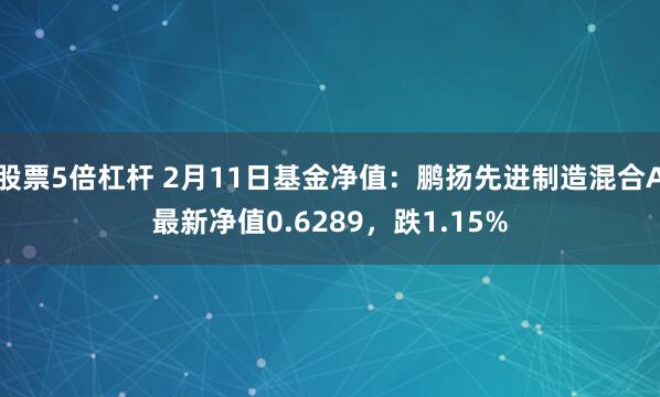 股票5倍杠杆 2月11日基金净值：鹏扬先进制造混合A最新净值0.6289，跌1.15%