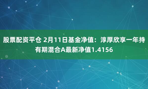 股票配资平仓 2月11日基金净值：淳厚欣享一年持有期混合A最新净值1.4156