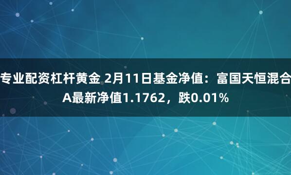 专业配资杠杆黄金 2月11日基金净值：富国天恒混合A最新净值1.1762，跌0.01%