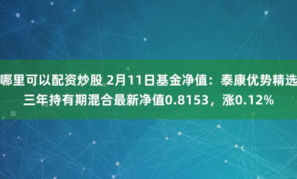 哪里可以配资炒股 2月11日基金净值：泰康优势精选三年持有期混合最新净值0.8153，涨0.12%