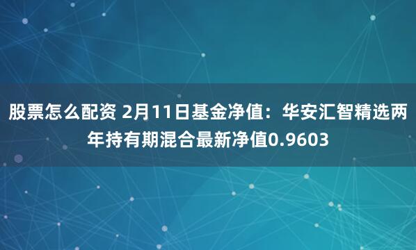 股票怎么配资 2月11日基金净值：华安汇智精选两年持有期混合最新净值0.9603