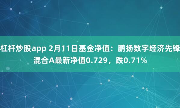 杠杆炒股app 2月11日基金净值：鹏扬数字经济先锋混合A最新净值0.729，跌0.71%