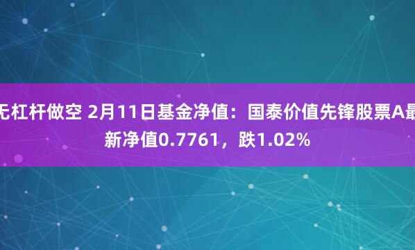 无杠杆做空 2月11日基金净值：国泰价值先锋股票A最新净值0.7761，跌1.02%