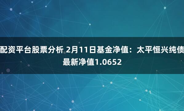 配资平台股票分析 2月11日基金净值：太平恒兴纯债最新净值1.0652