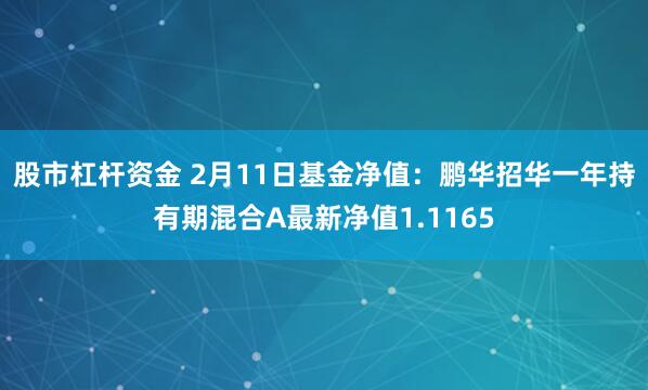 股市杠杆资金 2月11日基金净值：鹏华招华一年持有期混合A最新净值1.1165