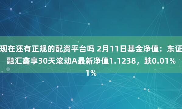 现在还有正规的配资平台吗 2月11日基金净值：东证融汇鑫享30天滚动A最新净值1.1238，跌0.01%