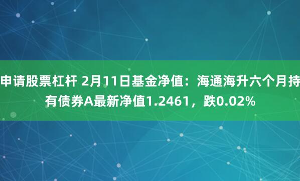 申请股票杠杆 2月11日基金净值：海通海升六个月持有债券A最新净值1.2461，跌0.02%