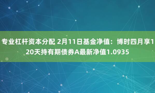 专业杠杆资本分配 2月11日基金净值：博时四月享120天持有期债券A最新净值1.0935