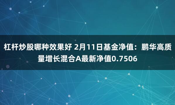 杠杆炒股哪种效果好 2月11日基金净值：鹏华高质量增长混合A最新净值0.7506