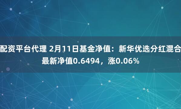 配资平台代理 2月11日基金净值：新华优选分红混合最新净值0.6494，涨0.06%