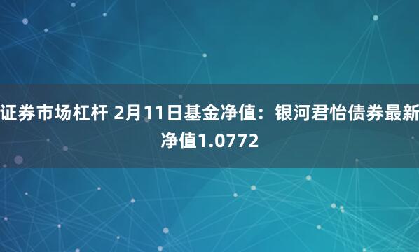 证券市场杠杆 2月11日基金净值：银河君怡债券最新净值1.0772