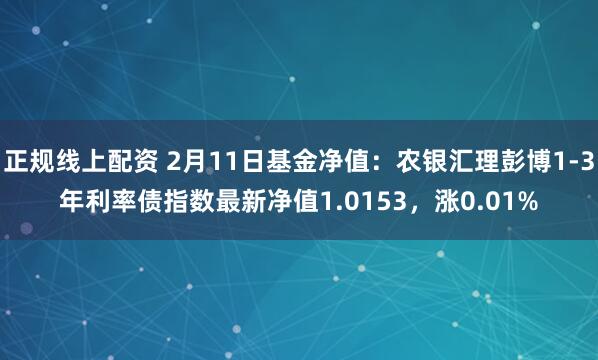 正规线上配资 2月11日基金净值：农银汇理彭博1-3年利率债指数最新净值1.0153，涨0.01%