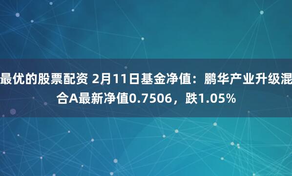 最优的股票配资 2月11日基金净值：鹏华产业升级混合A最新净值0.7506，跌1.05%