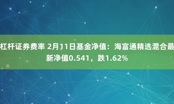 杠杆证券费率 2月11日基金净值：海富通精选混合最新净值0.541，跌1.62%