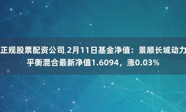 正规股票配资公司 2月11日基金净值：景顺长城动力平衡混合最新净值1.6094，涨0.03%