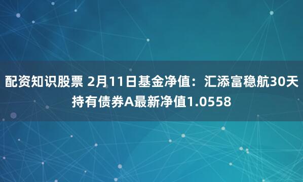 配资知识股票 2月11日基金净值：汇添富稳航30天持有债券A最新净值1.0558