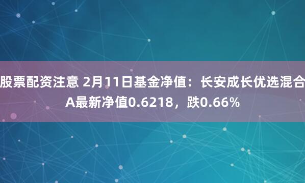 股票配资注意 2月11日基金净值：长安成长优选混合A最新净值0.6218，跌0.66%