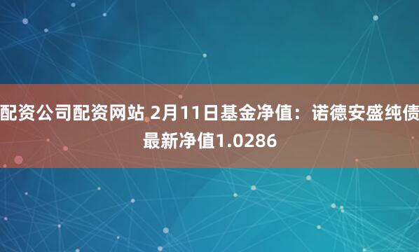 配资公司配资网站 2月11日基金净值：诺德安盛纯债最新净值1.0286