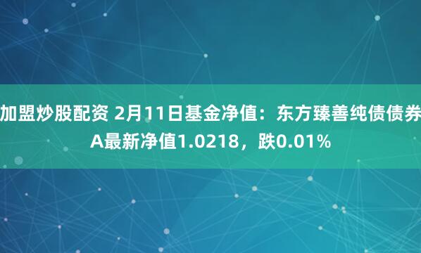 加盟炒股配资 2月11日基金净值：东方臻善纯债债券A最新净值1.0218，跌0.01%