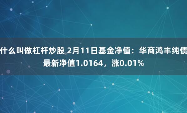 什么叫做杠杆炒股 2月11日基金净值：华商鸿丰纯债最新净值1.0164，涨0.01%