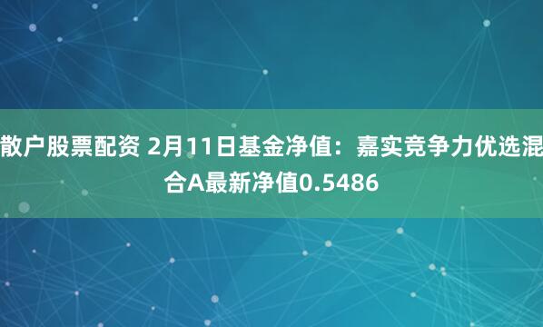 散户股票配资 2月11日基金净值：嘉实竞争力优选混合A最新净值0.5486