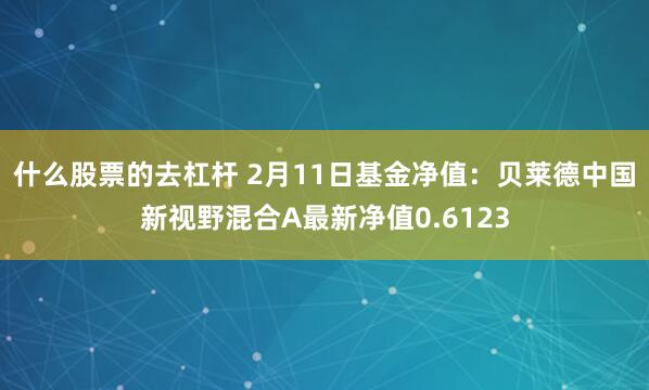 什么股票的去杠杆 2月11日基金净值：贝莱德中国新视野混合A最新净值0.6123