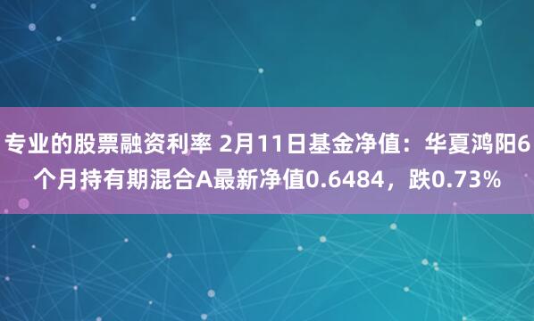 专业的股票融资利率 2月11日基金净值：华夏鸿阳6个月持有期混合A最新净值0.6484，跌0.73%