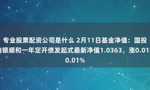 专业股票配资公司是什么 2月11日基金净值：国投瑞银顺和一年定开债发起式最新净值1.0363，涨0.01%