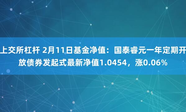 上交所杠杆 2月11日基金净值：国泰睿元一年定期开放债券发起式最新净值1.0454，涨0.06%