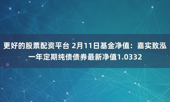 更好的股票配资平台 2月11日基金净值：嘉实致泓一年定期纯债债券最新净值1.0332