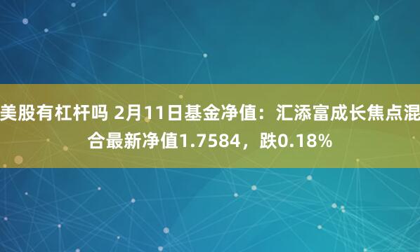 美股有杠杆吗 2月11日基金净值：汇添富成长焦点混合最新净值1.7584，跌0.18%