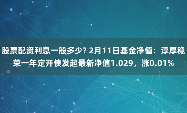 股票配资利息一般多少? 2月11日基金净值：淳厚稳荣一年定开债发起最新净值1.029，涨0.01%