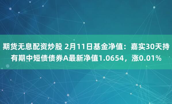 期货无息配资炒股 2月11日基金净值：嘉实30天持有期中短债债券A最新净值1.0654，涨0.01%