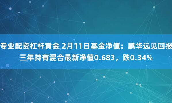 专业配资杠杆黄金 2月11日基金净值：鹏华远见回报三年持有混合最新净值0.683，跌0.34%