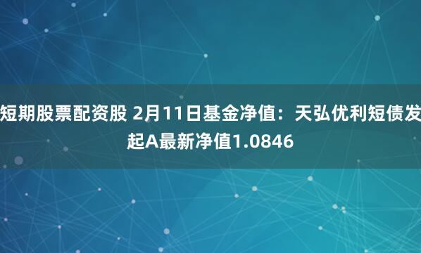 短期股票配资股 2月11日基金净值：天弘优利短债发起A最新净值1.0846