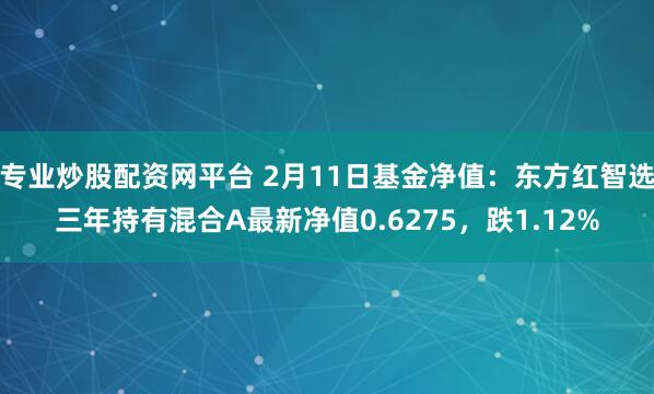 专业炒股配资网平台 2月11日基金净值：东方红智选三年持有混合A最新净值0.6275，跌1.12%