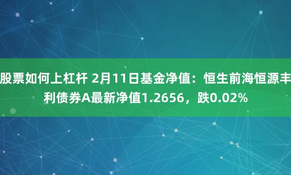 股票如何上杠杆 2月11日基金净值：恒生前海恒源丰利债券A最新净值1.2656，跌0.02%