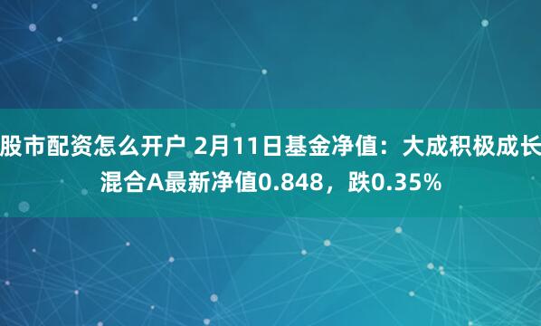 股市配资怎么开户 2月11日基金净值：大成积极成长混合A最新净值0.848，跌0.35%