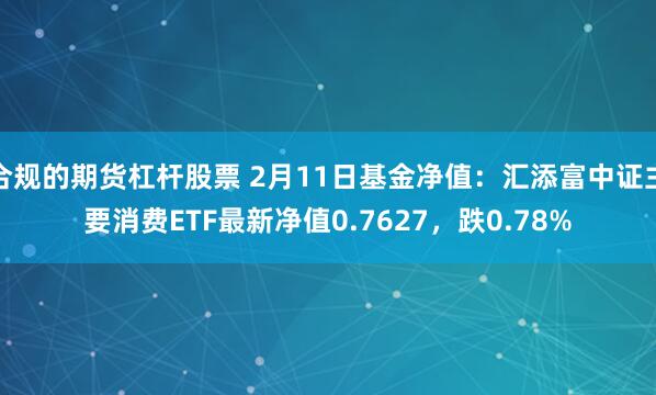 合规的期货杠杆股票 2月11日基金净值：汇添富中证主要消费ETF最新净值0.7627，跌0.78%