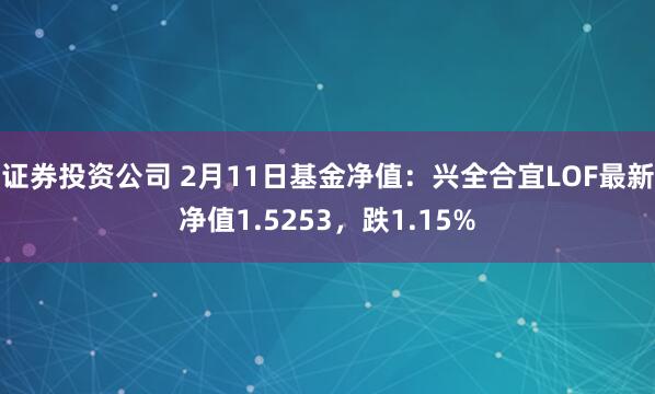 证券投资公司 2月11日基金净值：兴全合宜LOF最新净值1.5253，跌1.15%