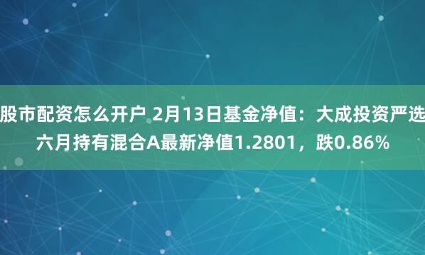 股市配资怎么开户 2月13日基金净值：大成投资严选六月持有混合A最新净值1.2801，跌0.86%