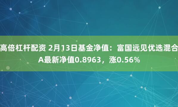 高倍杠杆配资 2月13日基金净值：富国远见优选混合A最新净值0.8963，涨0.56%