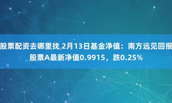 股票配资去哪里找 2月13日基金净值：南方远见回报股票A最新净值0.9915，跌0.25%