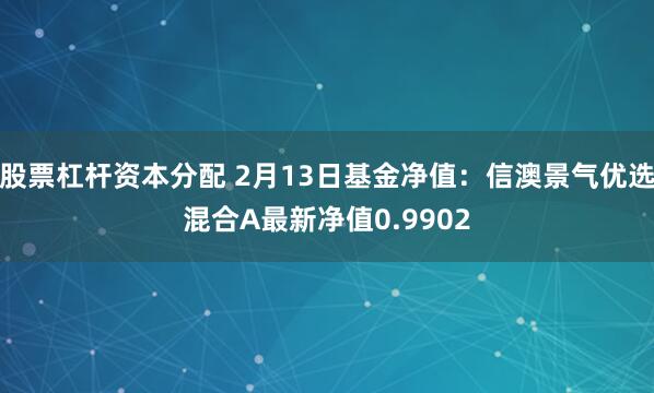 股票杠杆资本分配 2月13日基金净值：信澳景气优选混合A最新净值0.9902