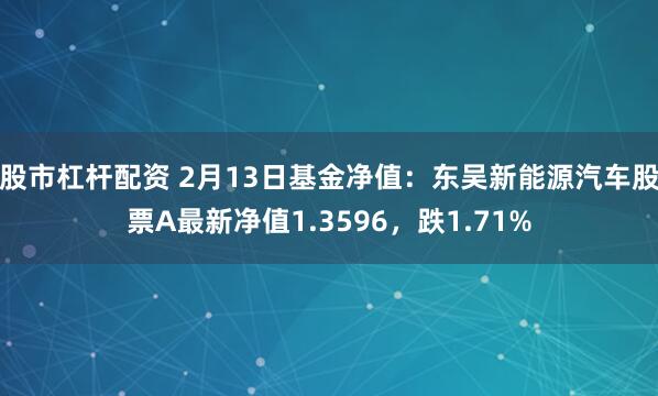 股市杠杆配资 2月13日基金净值：东吴新能源汽车股票A最新净值1.3596，跌1.71%