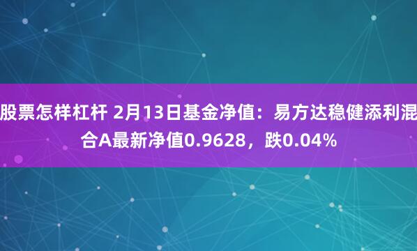 股票怎样杠杆 2月13日基金净值：易方达稳健添利混合A最新净值0.9628，跌0.04%