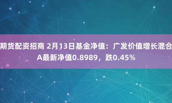 期货配资招商 2月13日基金净值：广发价值增长混合A最新净值0.8989，跌0.45%