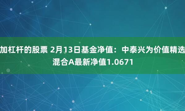 加杠杆的股票 2月13日基金净值：中泰兴为价值精选混合A最新净值1.0671