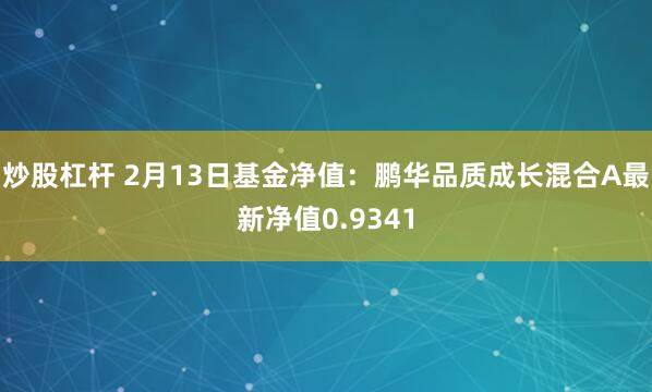 炒股杠杆 2月13日基金净值：鹏华品质成长混合A最新净值0.9341